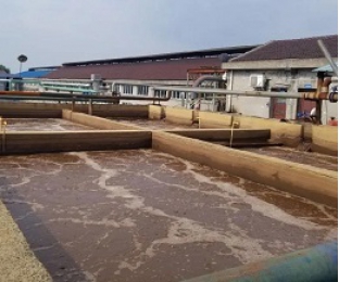 出水氨氮大于進水氨氮，怎么回事？