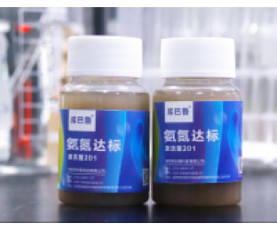 生化系統(tǒng)崩潰，氨氮超標，我該怎么辦?