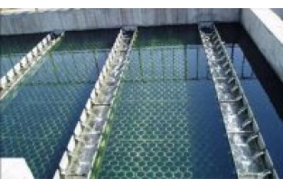 【干貨】生物濾池為什么一受沖擊氨氮去除率就會下降？